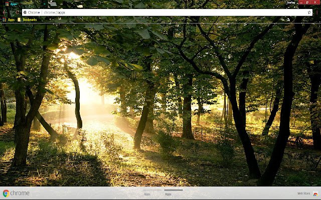Earth Forest from Chrome web store to be run with OffiDocs Chromium online Earth Forest from Chrome web store to be run with OffiDocs Chromium online