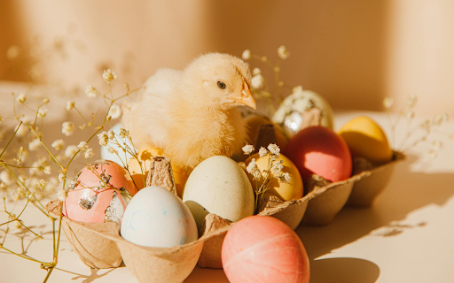 Eggs and Chicks from Chrome web store to be run with OffiDocs Chromium online Eggs and Chicks from Chrome web store to be run with OffiDocs Chromium online