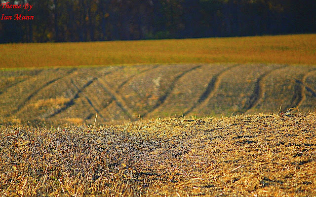 Empty Fields from Chrome web store to be run with OffiDocs Chromium online Empty Fields from Chrome web store to be run with OffiDocs Chromium online