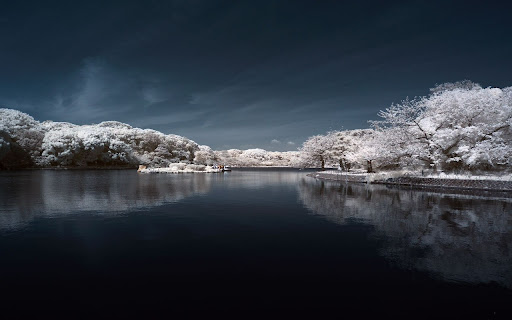 Ethereal Lake Reflection from Chrome web store to be run with OffiDocs Chromium online Ethereal Lake Reflection from Chrome web store to be run with OffiDocs Chromium online