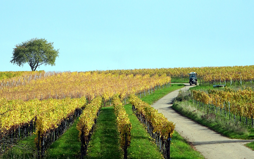 Farm change clothes from Chrome web store to be run with OffiDocs Chromium online Farm change clothes from Chrome web store to be run with OffiDocs Chromium online