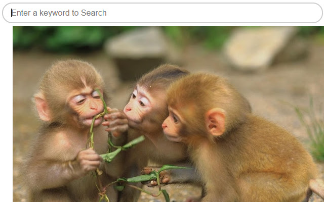 FavTabs Best Monkeys from Chrome web store to be run with OffiDocs Chromium online FavTabs Best Monkeys from Chrome web store to be run with OffiDocs Chromium online