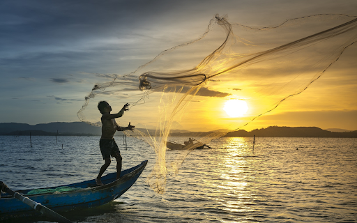 Fishing in the morning from Chrome web store to be run with OffiDocs Chromium online Fishing in the morning from Chrome web store to be run with OffiDocs Chromium online