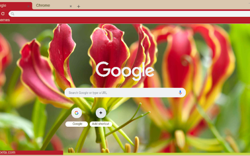Flame Lily from Chrome web store to be run with OffiDocs Chromium online Flame Lily from Chrome web store to be run with OffiDocs Chromium online