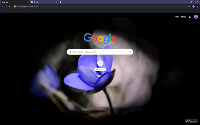 Flower in the Dark from Chrome web store to be run with OffiDocs Chromium online Flower in the Dark from Chrome web store to be run with OffiDocs Chromium online