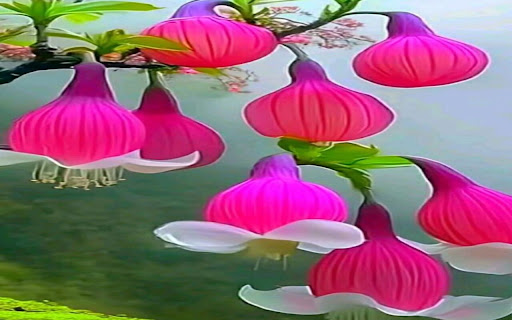 flower lantern wallpaper from Chrome web store to be run with OffiDocs Chromium online flower lantern wallpaper from Chrome web store to be run with OffiDocs Chromium online