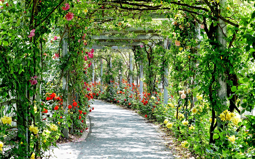 Flower Road from Chrome web store to be run with OffiDocs Chromium online Flower Road from Chrome web store to be run with OffiDocs Chromium online
