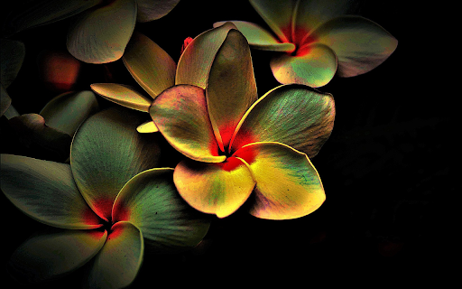 Flowers bloom brightly from Chrome web store to be run with OffiDocs Chromium online Flowers bloom brightly from Chrome web store to be run with OffiDocs Chromium online