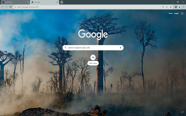 Forest Browser Theme from Chrome web store to be run with OffiDocs Chromium online Forest Browser Theme from Chrome web store to be run with OffiDocs Chromium online