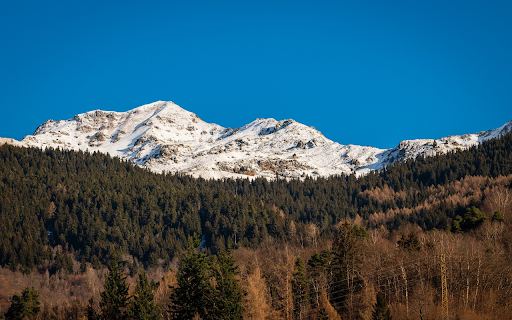 forests and mountains and sky from Chrome web store to be run with OffiDocs Chromium online forests and mountains and sky from Chrome web store to be run with OffiDocs Chromium online