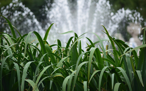 Fountain among the trees from Chrome web store to be run with OffiDocs Chromium online Fountain among the trees from Chrome web store to be run with OffiDocs Chromium online
