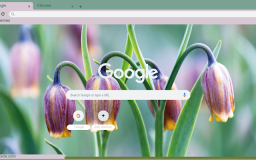 Fritillaria from Chrome web store to be run with OffiDocs Chromium online Fritillaria from Chrome web store to be run with OffiDocs Chromium online