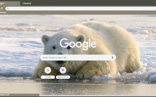Gau Bac Cuc from Chrome web store to be run with OffiDocs Chromium online Gau Bac Cuc from Chrome web store to be run with OffiDocs Chromium online