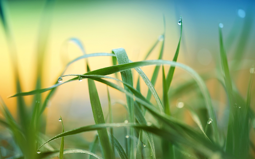 Glittering dew drops from Chrome web store to be run with OffiDocs Chromium online Glittering dew drops from Chrome web store to be run with OffiDocs Chromium online