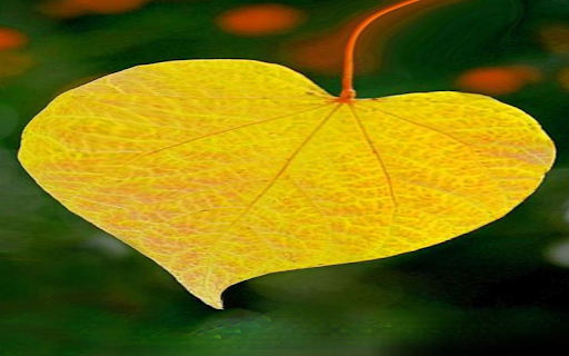 Gold leaf heart wallpaper from Chrome web store to be run with OffiDocs Chromium online Gold leaf heart wallpaper from Chrome web store to be run with OffiDocs Chromium online