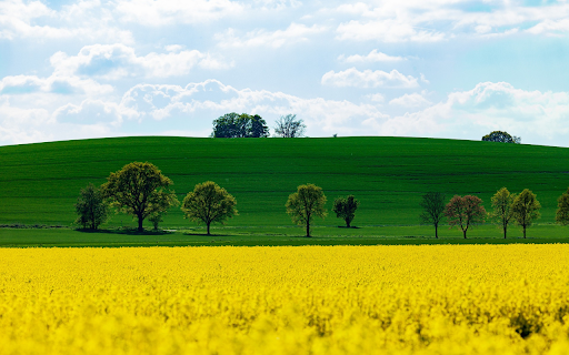 green and yellow from Chrome web store to be run with OffiDocs Chromium online green and yellow from Chrome web store to be run with OffiDocs Chromium online