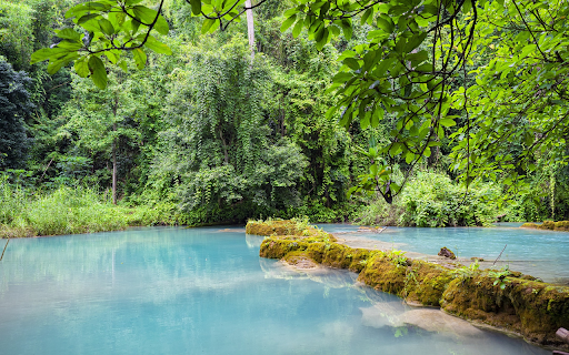 green forest and stream from Chrome web store to be run with OffiDocs Chromium online green forest and stream from Chrome web store to be run with OffiDocs Chromium online