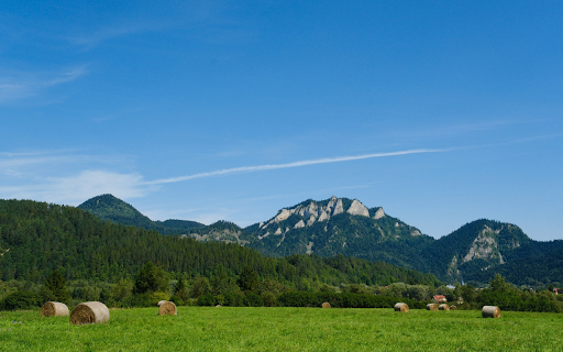 Green Grassland from Chrome web store to be run with OffiDocs Chromium online Green Grassland from Chrome web store to be run with OffiDocs Chromium online