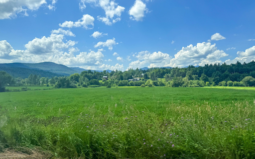 green hill meadow from Chrome web store to be run with OffiDocs Chromium online green hill meadow from Chrome web store to be run with OffiDocs Chromium online