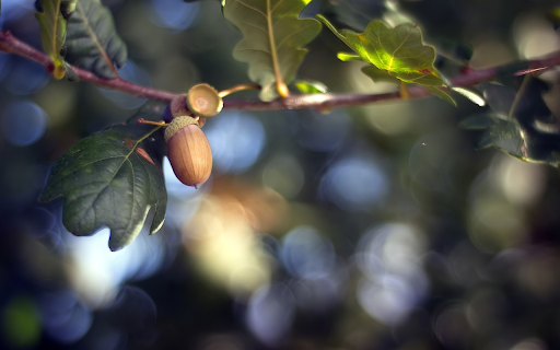 Green leaf fruit tree from Chrome web store to be run with OffiDocs Chromium online Green leaf fruit tree from Chrome web store to be run with OffiDocs Chromium online