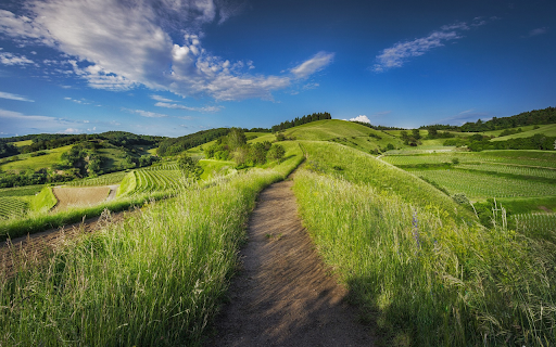 Green pastures from Chrome web store to be run with OffiDocs Chromium online Green pastures from Chrome web store to be run with OffiDocs Chromium online