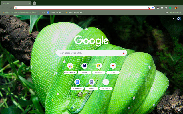 Green Tree Python from Chrome web store to be run with OffiDocs Chromium online Green Tree Python from Chrome web store to be run with OffiDocs Chromium online
