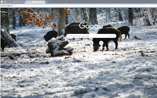 group of wild boars foraging in the snow from Chrome web store to be run with OffiDocs Chromium online group of wild boars foraging in the snow from Chrome web store to be run with OffiDocs Chromium online