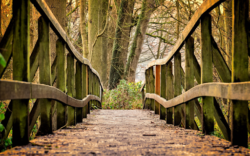 High wooden bridge from Chrome web store to be run with OffiDocs Chromium online High wooden bridge from Chrome web store to be run with OffiDocs Chromium online