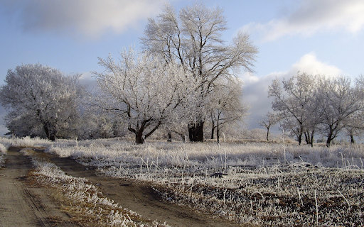 Hoarfrost Landscape from Chrome web store to be run with OffiDocs Chromium online Hoarfrost Landscape from Chrome web store to be run with OffiDocs Chromium online