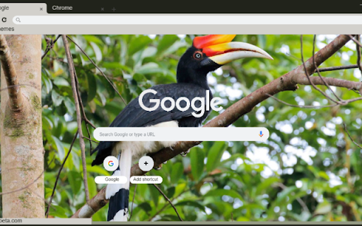 Hornbill from Chrome web store to be run with OffiDocs Chromium online Hornbill from Chrome web store to be run with OffiDocs Chromium online