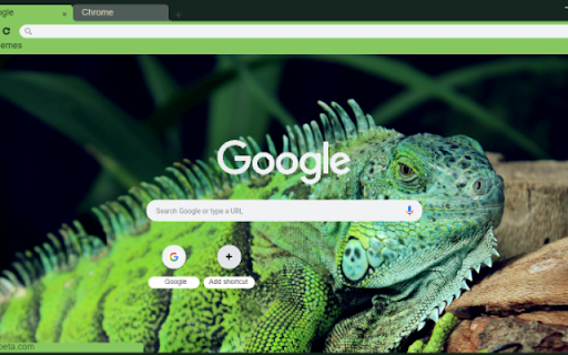 Iguana from Chrome web store to be run with OffiDocs Chromium online Iguana from Chrome web store to be run with OffiDocs Chromium online