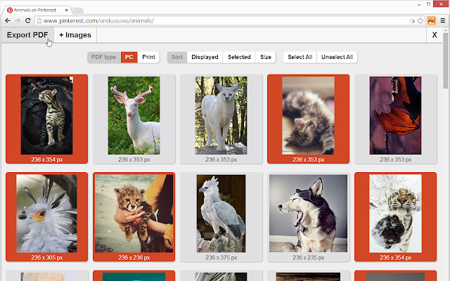 Image to PDF dearprint from Chrome web store to be run with OffiDocs Chromium online Image to PDF dearprint from Chrome web store to be run with OffiDocs Chromium online