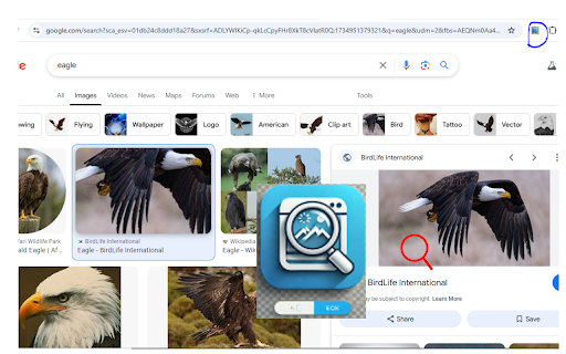 Image Zoom from Chrome web store to be run with OffiDocs Chromium online Image Zoom from Chrome web store to be run with OffiDocs Chromium online