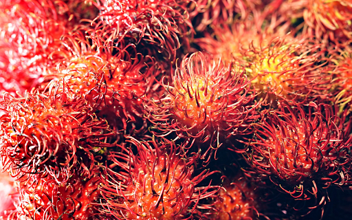 Juicy red rambutans from Chrome web store to be run with OffiDocs Chromium online Juicy red rambutans from Chrome web store to be run with OffiDocs Chromium online