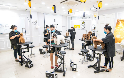 Khóa học cắt tỉa lông chó Level C Kimi Pet Grooming School from Chrome web store to be run with OffiDocs Chromium online Khóa học cắt tỉa lông chó Level C Kimi Pet Grooming School from Chrome web store to be run with OffiDocs Chromium online