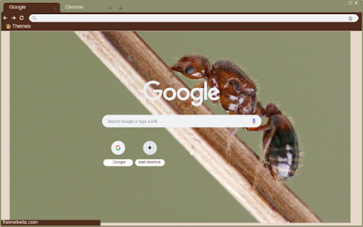 Kien Do from Chrome web store to be run with OffiDocs Chromium online Kien Do from Chrome web store to be run with OffiDocs Chromium online