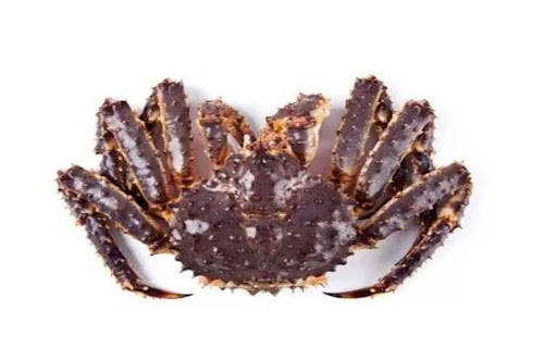 king crab wallpaper from Chrome web store to be run with OffiDocs Chromium online king crab wallpaper from Chrome web store to be run with OffiDocs Chromium online