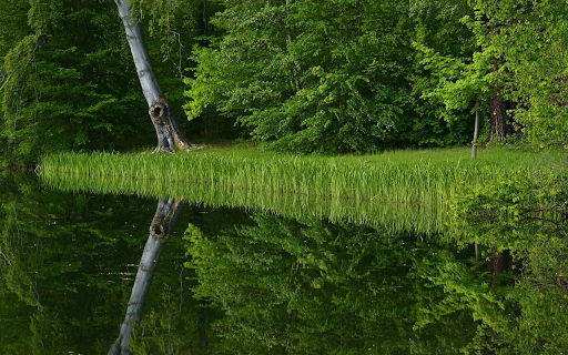 Lakeside trees from Chrome web store to be run with OffiDocs Chromium online Lakeside trees from Chrome web store to be run with OffiDocs Chromium online