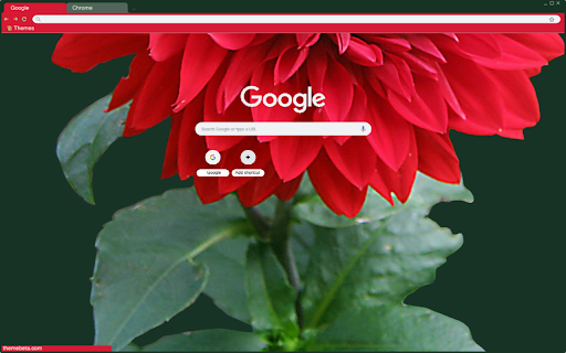 Lala Flower theme from Chrome web store to be run with OffiDocs Chromium online Lala Flower theme from Chrome web store to be run with OffiDocs Chromium online