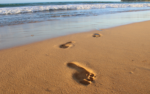 Large footprints in the sand from Chrome web store to be run with OffiDocs Chromium online Large footprints in the sand from Chrome web store to be run with OffiDocs Chromium online