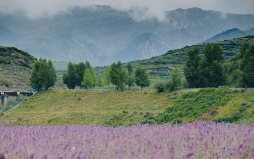 Lavender Hills and Misty Peaks from Chrome web store to be run with OffiDocs Chromium online Lavender Hills and Misty Peaks from Chrome web store to be run with OffiDocs Chromium online