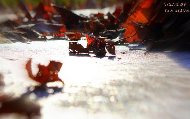 Leaf Pile from Chrome web store to be run with OffiDocs Chromium online Leaf Pile from Chrome web store to be run with OffiDocs Chromium online