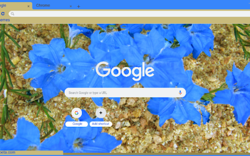 Lechenaultia from Chrome web store to be run with OffiDocs Chromium online Lechenaultia from Chrome web store to be run with OffiDocs Chromium online