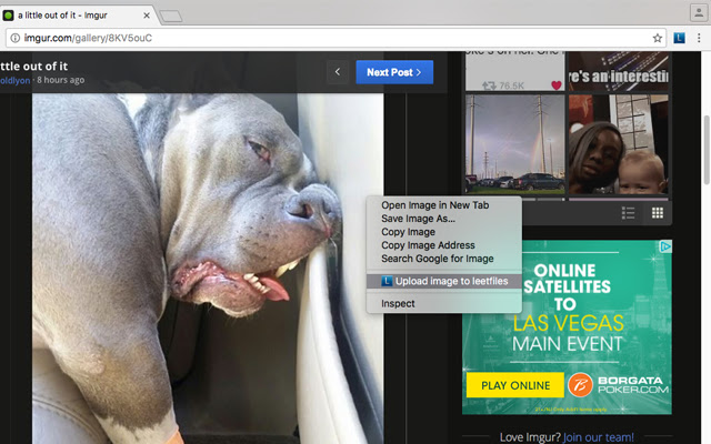 leetfiles from Chrome web store to be run with OffiDocs Chromium online leetfiles from Chrome web store to be run with OffiDocs Chromium online