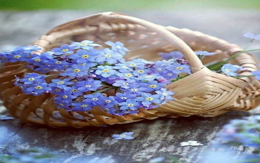 Light purple flower basket wallpaper from Chrome web store to be run with OffiDocs Chromium online Light purple flower basket wallpaper from Chrome web store to be run with OffiDocs Chromium online