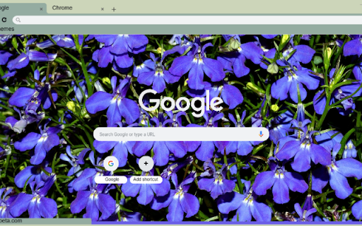 Lobelia from Chrome web store to be run with OffiDocs Chromium online Lobelia from Chrome web store to be run with OffiDocs Chromium online