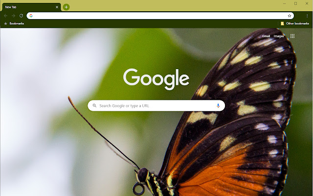 Lone Butterfly II from Chrome web store to be run with OffiDocs Chromium online Lone Butterfly II from Chrome web store to be run with OffiDocs Chromium online