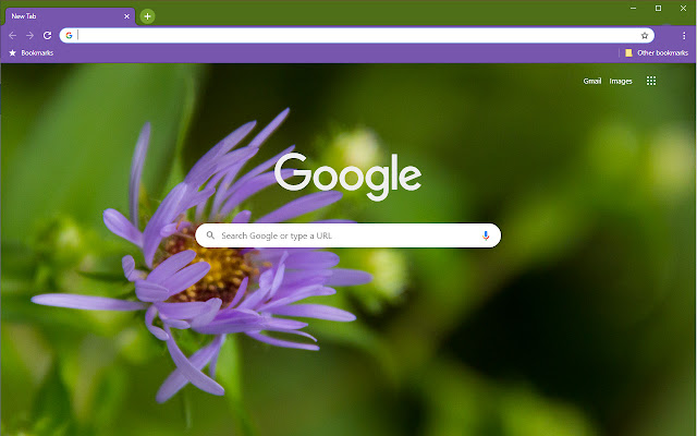 Lone Purple Flower from Chrome web store to be run with OffiDocs Chromium online Lone Purple Flower from Chrome web store to be run with OffiDocs Chromium online