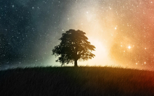 Lone Tree from Chrome web store to be run with OffiDocs Chromium online Lone Tree from Chrome web store to be run with OffiDocs Chromium online
