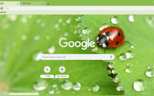 Macro Ladybug on Leaf from Chrome web store to be run with OffiDocs Chromium online Macro Ladybug on Leaf from Chrome web store to be run with OffiDocs Chromium online
